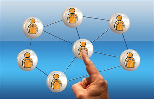 九游网-冠军球队社会责任项目获社区高度评价与广泛参与，冠军组织的定义