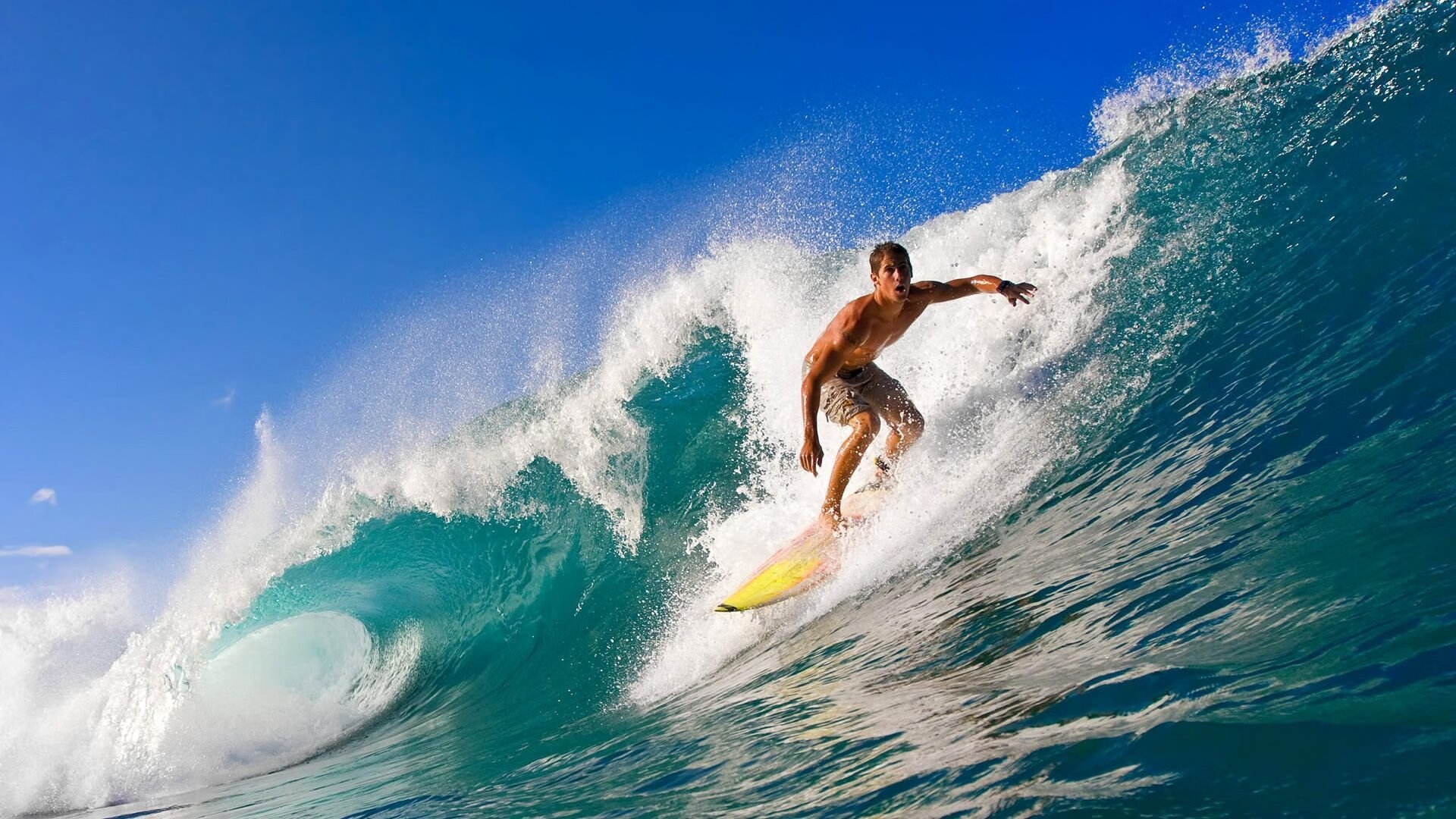 张家齐和陈芋汐争夺跳水金牌，焦点之战，张家齐陈芋汐夺金颁奖典礼